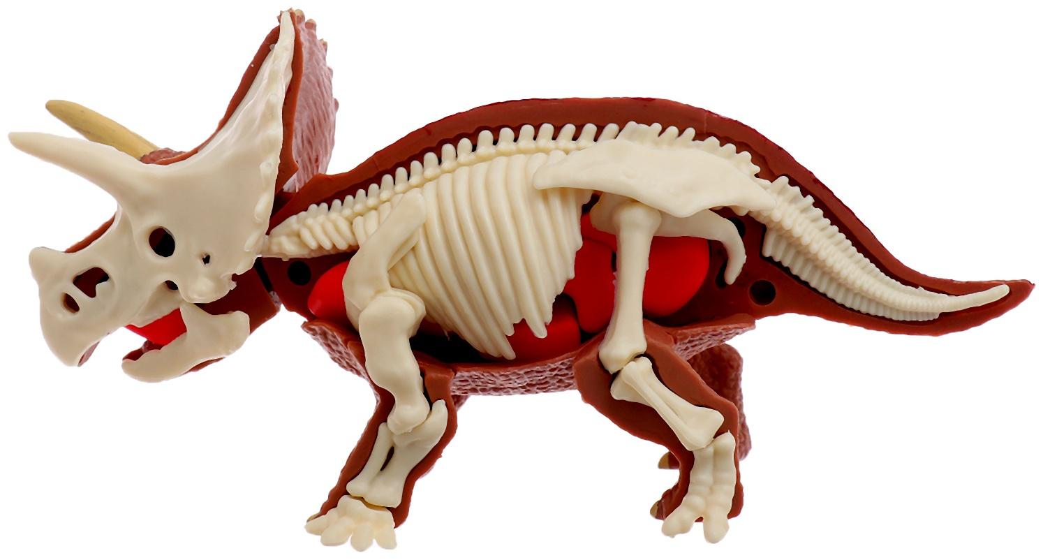 Набор для опытов «Диномир: Трицератопс», строение тела динозавра, 33 детали