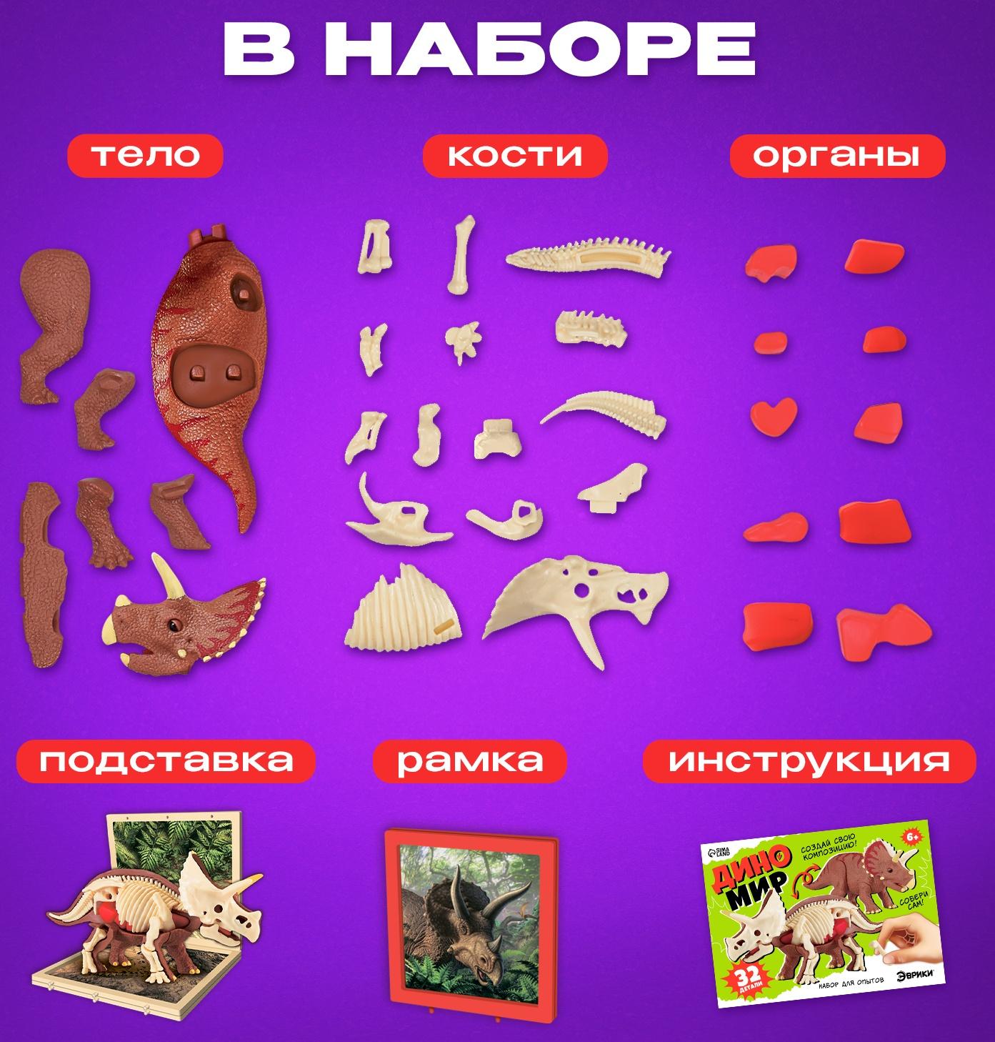 Набор для опытов «Диномир: Трицератопс», строение тела динозавра, 33 детали