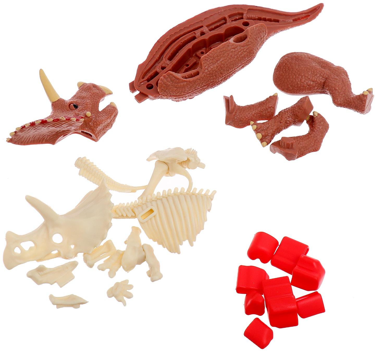 Набор для опытов «Диномир: Трицератопс», строение тела динозавра, 33 детали