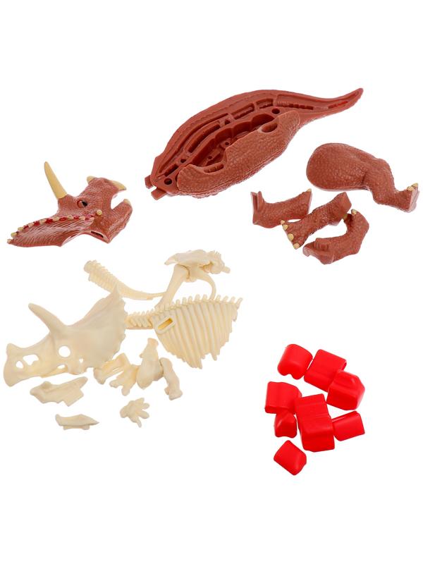 Набор для опытов «Диномир: Трицератопс», строение тела динозавра, 33 детали