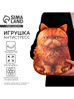 Игрушка антистресс «Рыжий кот»