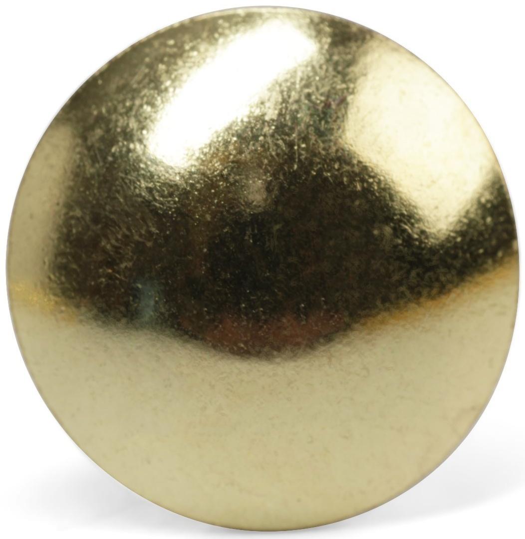 Лента декоративных гвоздей ТУНДРА, длина 1 м, 11×16 мм, золото, 10 шт.