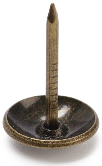 Лента декоративных гвоздей ТУНДРА, длина 1 м, 11×16 мм, бронза, 10 шт.