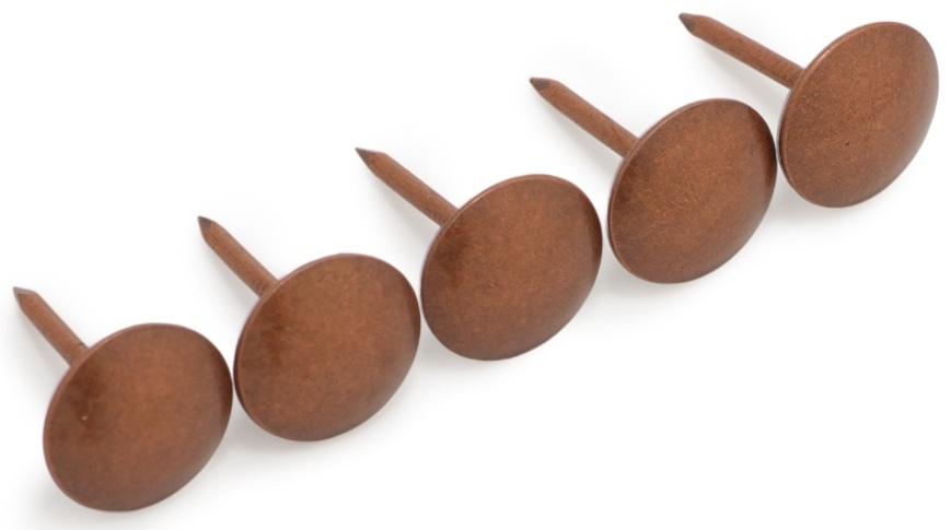 Лента декоративных гвоздей ТУНДРА, длина 1 м, 11×16 мм, медь, 10 шт.