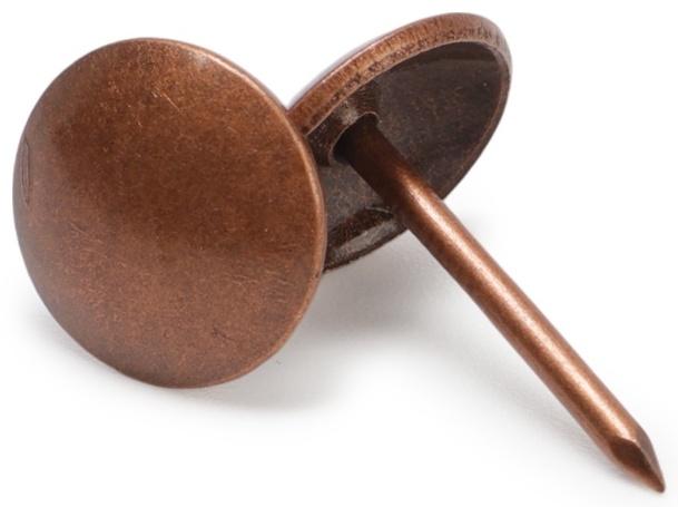 Лента декоративных гвоздей ТУНДРА, длина 1 м, 11×16 мм, медь, 10 шт.