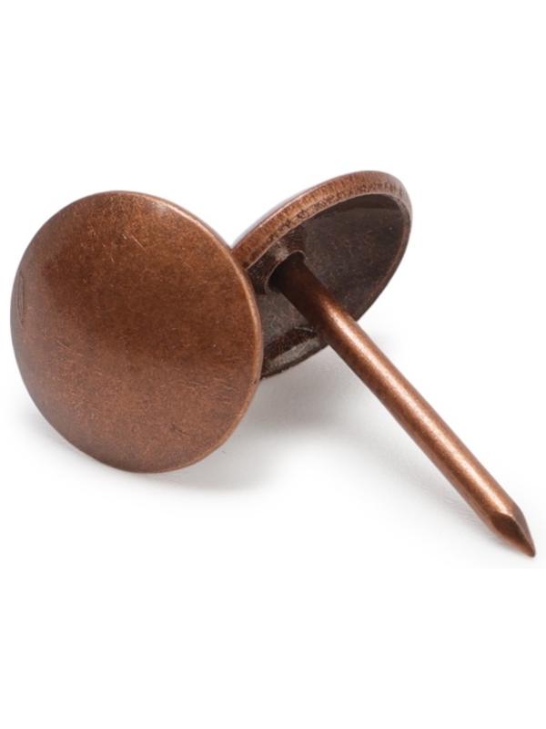 Лента декоративных гвоздей ТУНДРА, длина 1 м, 11×16 мм, медь, 10 шт.