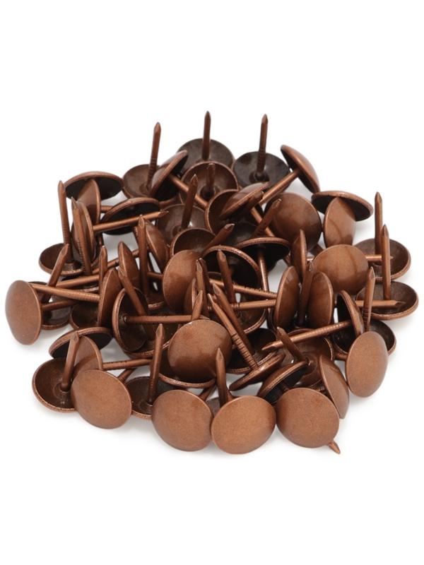 Лента декоративных гвоздей ТУНДРА, длина 1 м, 11×16 мм, медь, 10 шт.