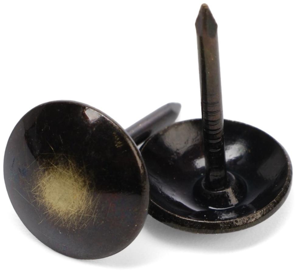 Лента декоративных гвоздей ТУНДРА, длина 1 м, 11×16 мм, античная бронза, 10 шт.