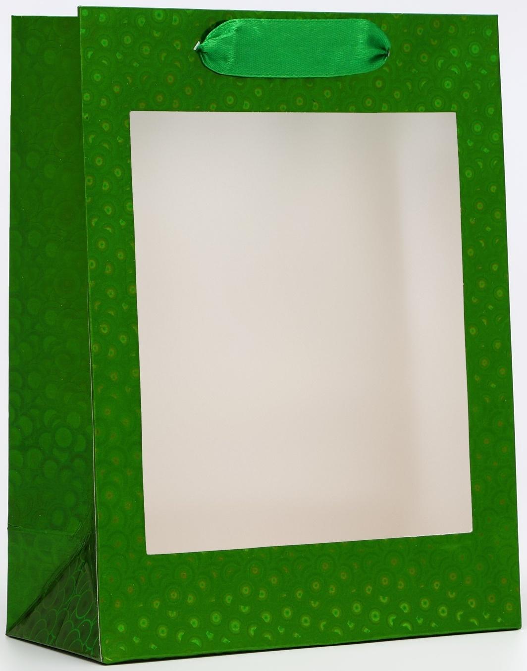 Пакет подарочный, фольгированный, упаковка, с окном, «Зеленый», S 23.5×18×8.5 см