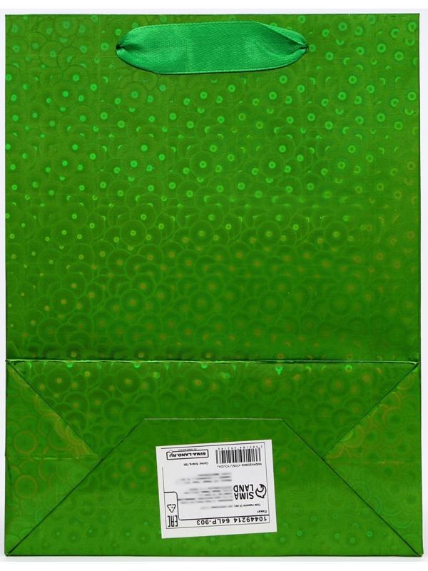 Пакет подарочный, фольгированный, упаковка, с окном, «Зеленый», S 23.5×18×8.5 см