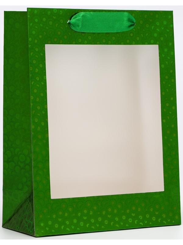 Пакет подарочный, фольгированный, упаковка, с окном, «Зеленый», S 23.5×18×8.5 см