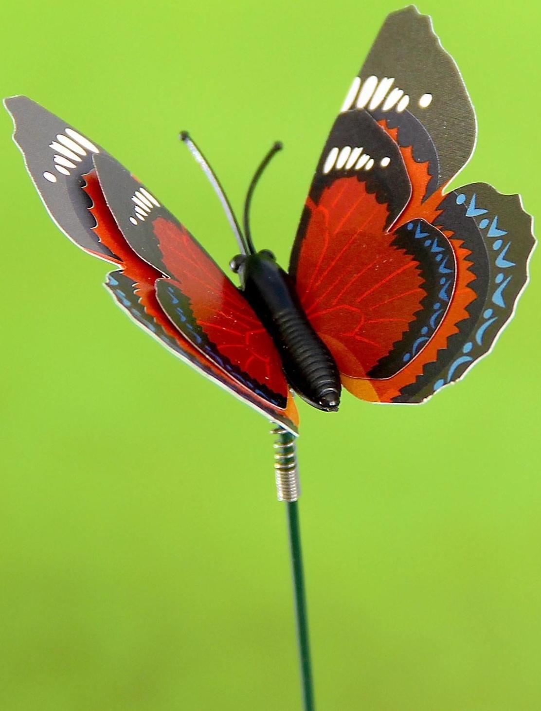 Штекер «Бабочка Дельфиус», 25 см, набор 15 шт., МИКС