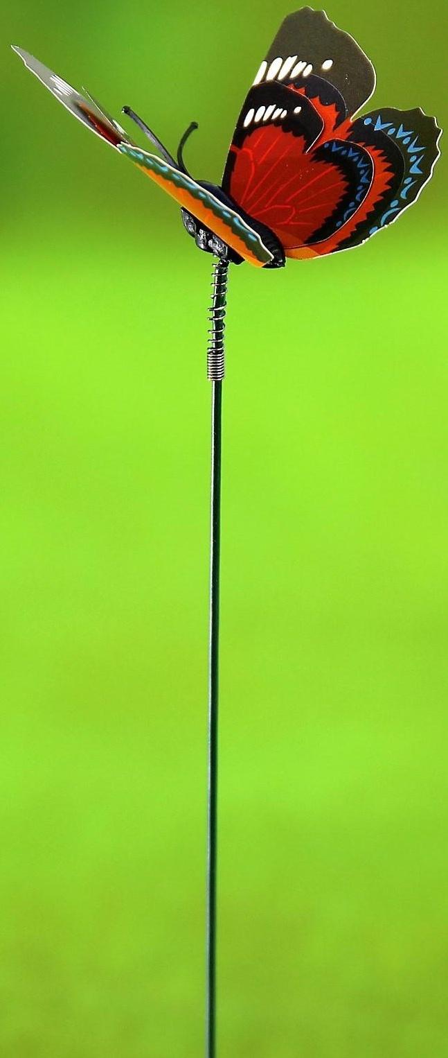 Штекер «Бабочка Дельфиус», 25 см, набор 15 шт., МИКС