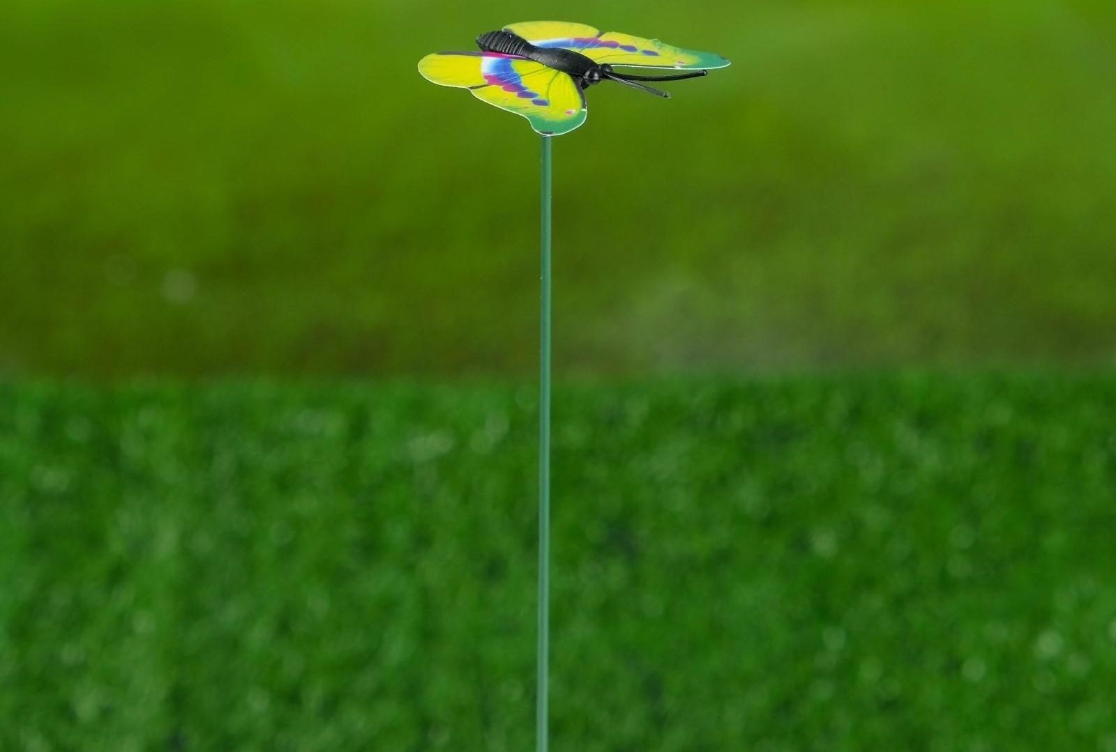 Штекер «Бабочка Шарлин», 3×4 см/30 см, набор 30 шт., МИКС