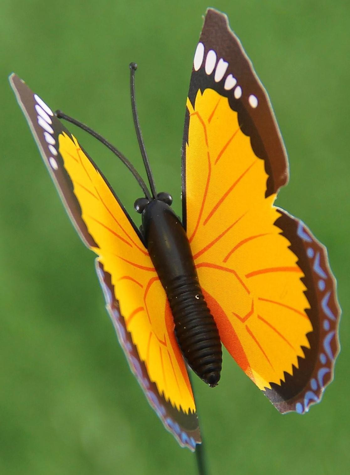 Штекер «Бабочка Атрис», 7×7 см/30 см, набор 30 шт., МИКС