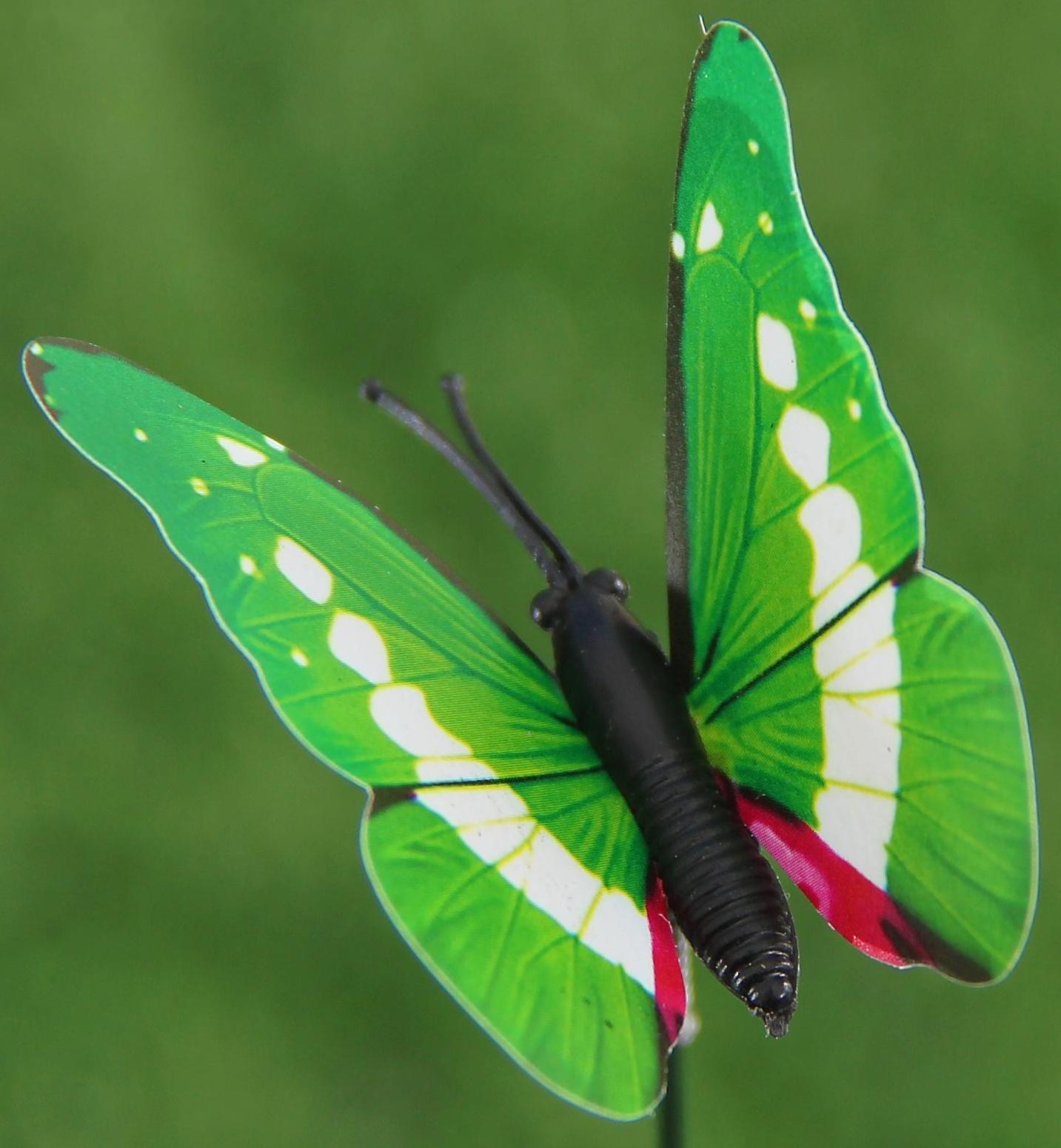 Штекер «Бабочка Атрис», 7×7 см/30 см, набор 30 шт., МИКС