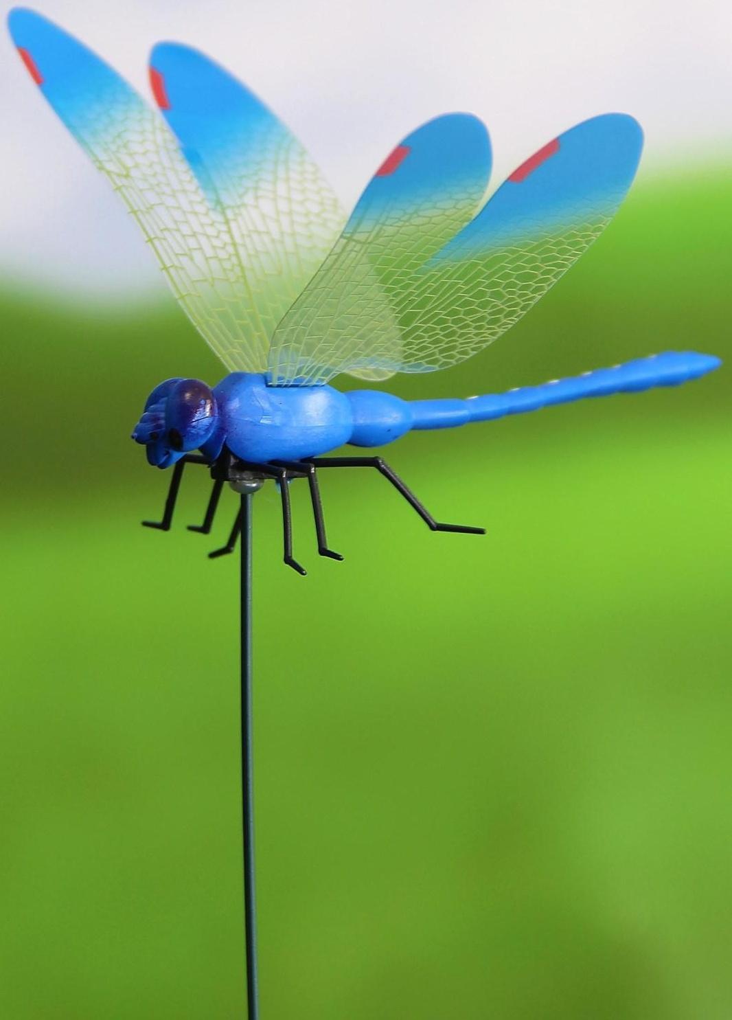 Штекер «Стрекоза Сенди», 14×9 см/45 см, набор 10 шт., МИКС