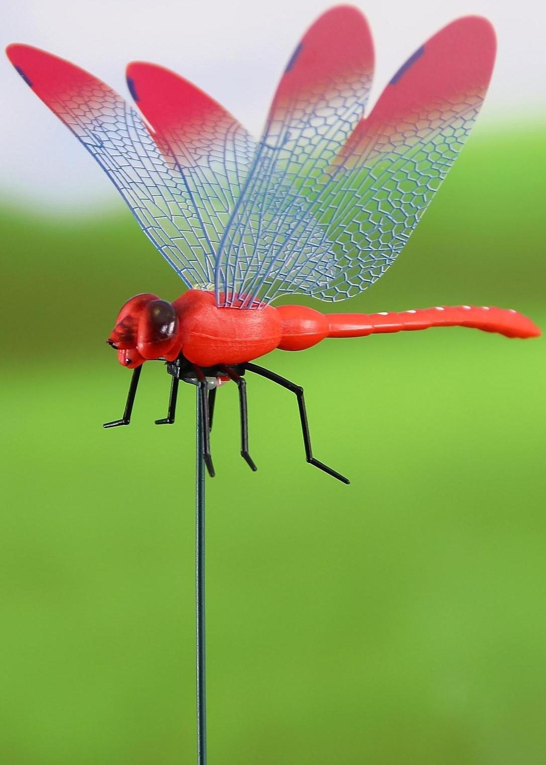 Штекер «Стрекоза Сенди», 14×9 см/45 см, набор 10 шт., МИКС