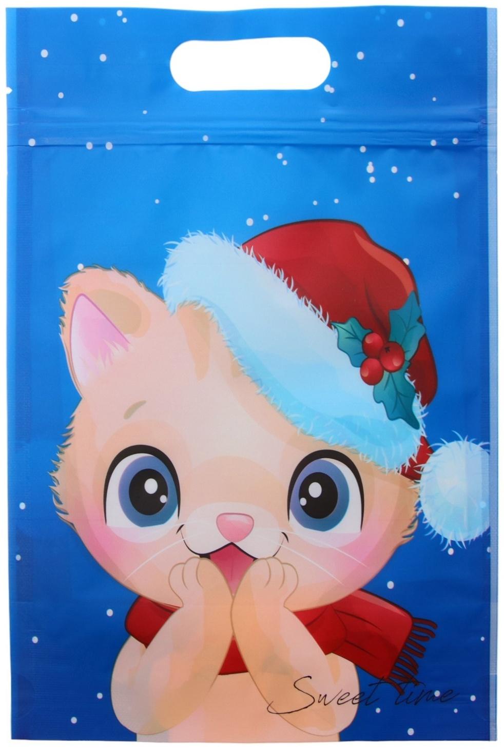 Пакет подарочный, с zip-lock застежкой, 