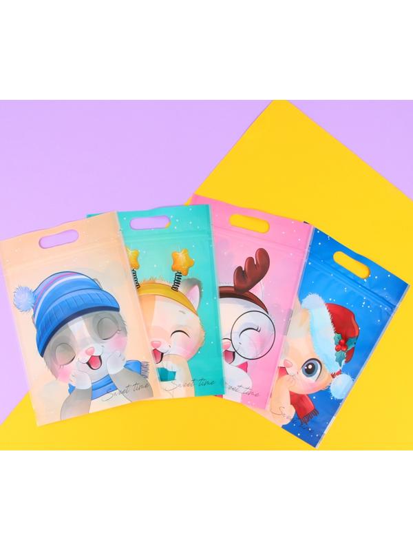 Пакет подарочный, с zip-lock застежкой, 