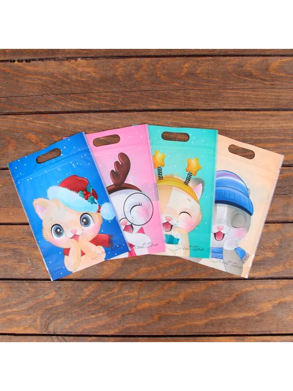 Пакет подарочный, с zip-lock застежкой, 