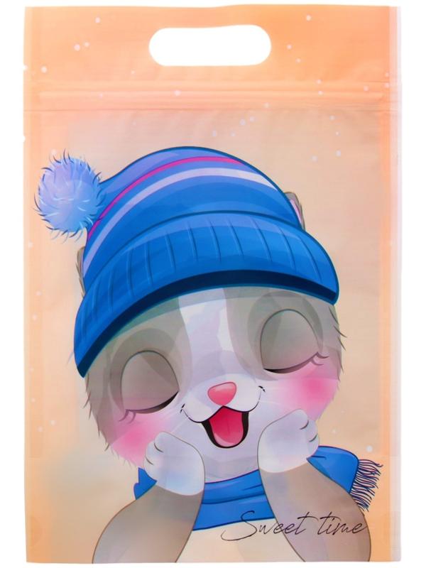 Пакет подарочный, с zip-lock застежкой, 