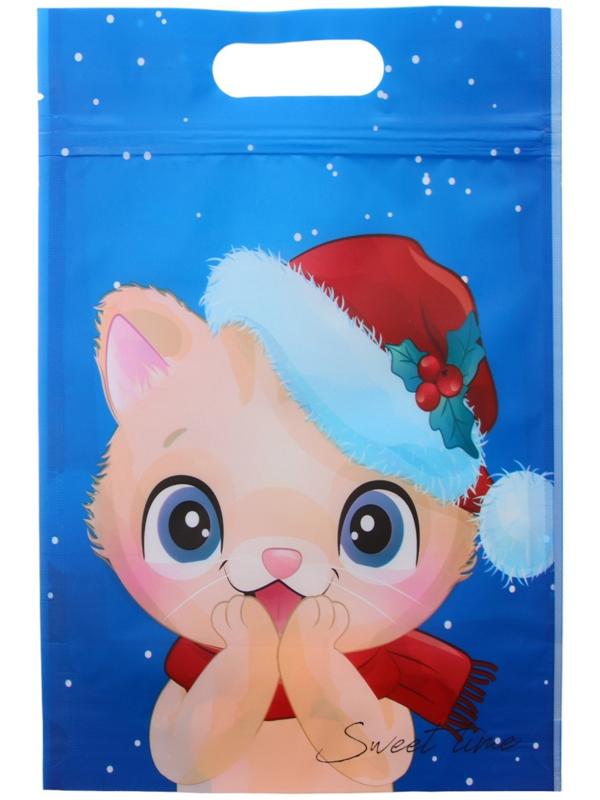 Пакет подарочный, с zip-lock застежкой, 