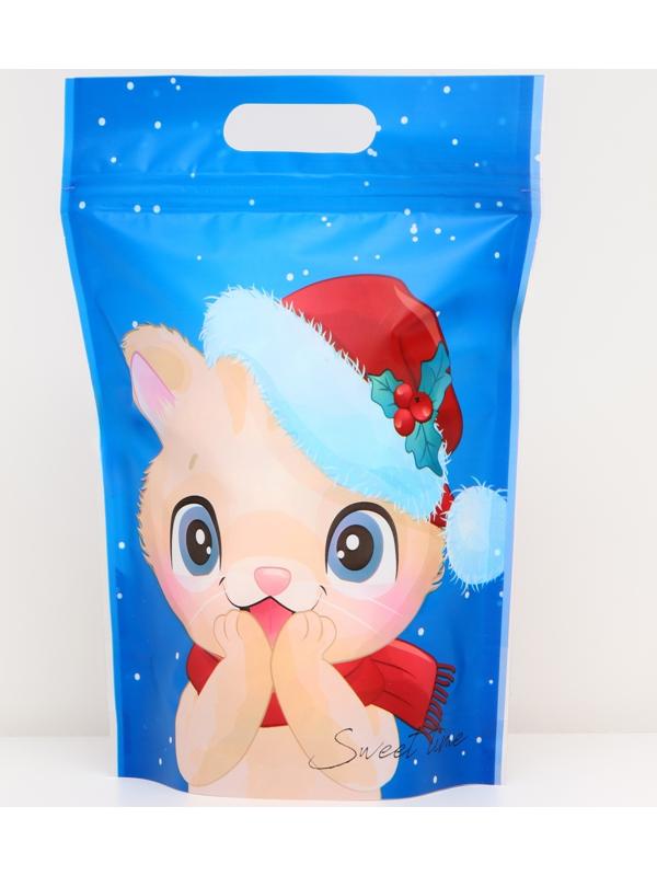 Пакет подарочный, с zip-lock застежкой, 