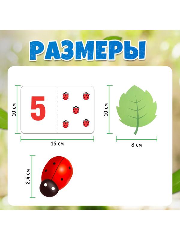 Развивающий набор «Считаем букашек»