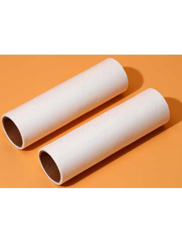 Сменный ролик для одежды Анти-шерсть, 10 см, 60 листов, 2 шт