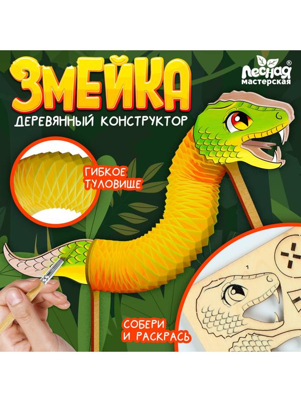 Деревянный конструктор «Змейка с гармошкой», 12 деталей, роспись