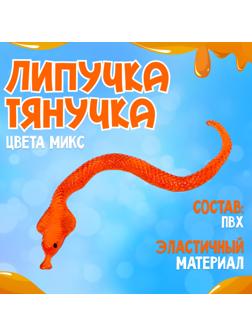 Липучка «Змеёныш», цвета МИКС