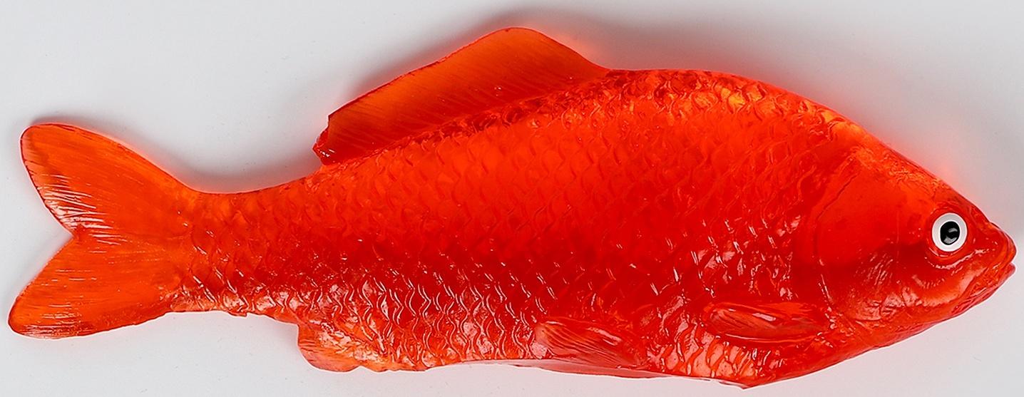 Липучка «Рыбка», цвета МИКС