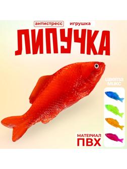 Липучка «Рыбка», цвета МИКС