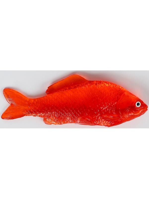 Липучка «Рыбка», цвета МИКС