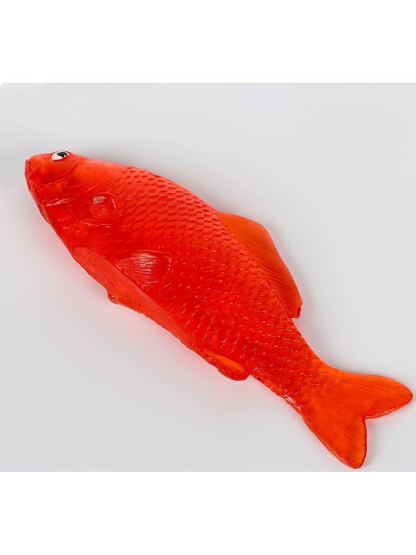 Липучка «Рыбка», цвета МИКС