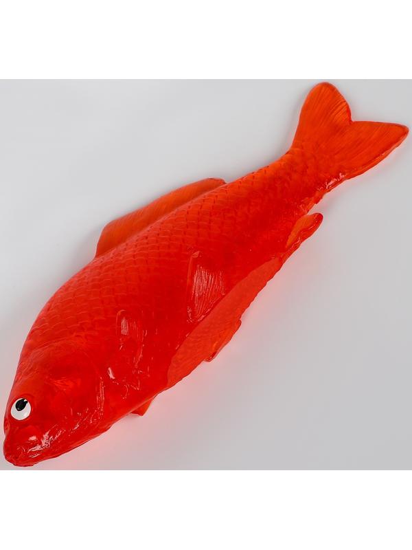 Липучка «Рыбка», цвета МИКС