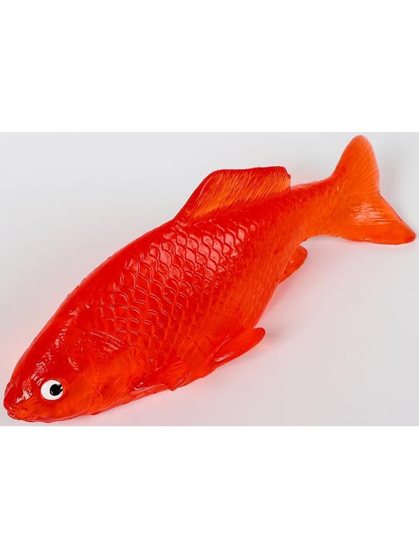 Липучка «Рыбка», цвета МИКС