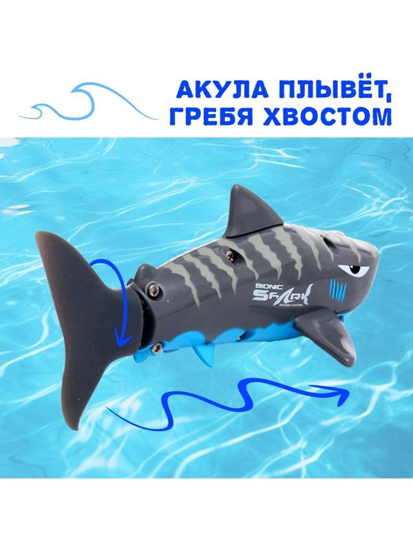 Акула «Белая», радиоуправляемая, плавает, работает от аккумулятора, цвет серый