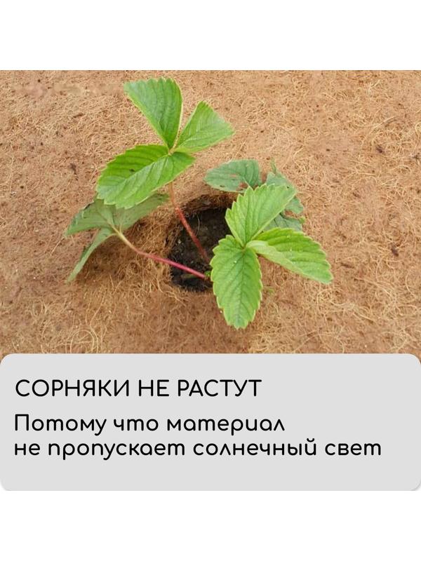 Круг приствольный, d=0.75 м, из кокосового полотна, набор 5 шт., «Мульчаграм»