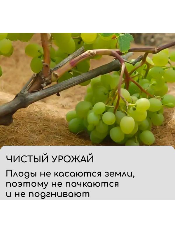 Круг приствольный, d=0.75 м, из кокосового полотна, набор 5 шт., «Мульчаграм»