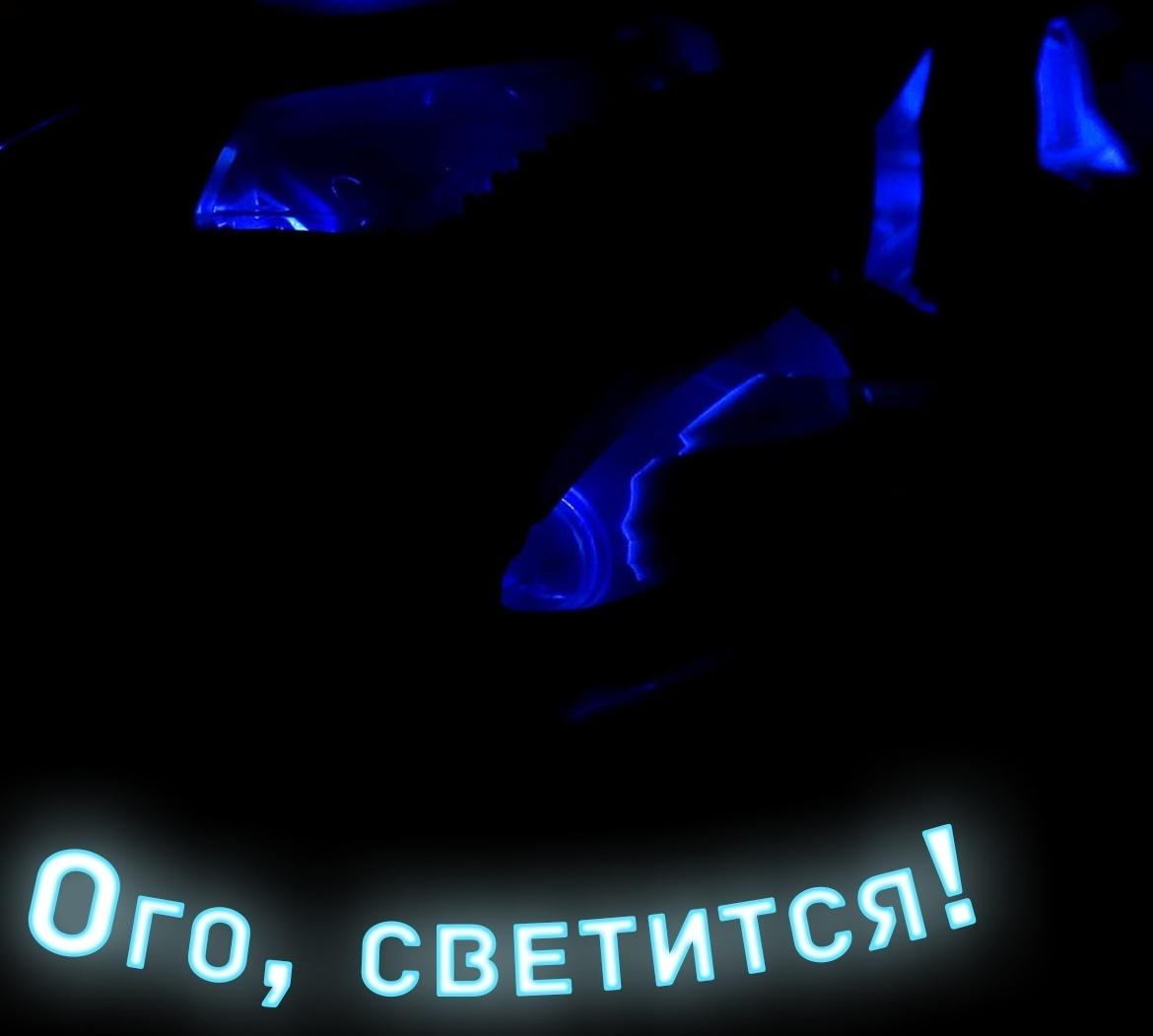 Акула «Белая», работает от батареек, световые и звуковые эффекты, цвет серый