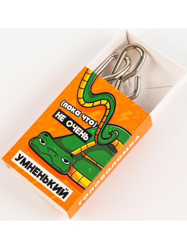 Головоломка металлическая «Мозгический взлёт» змея, в шоубоксе, МИКС