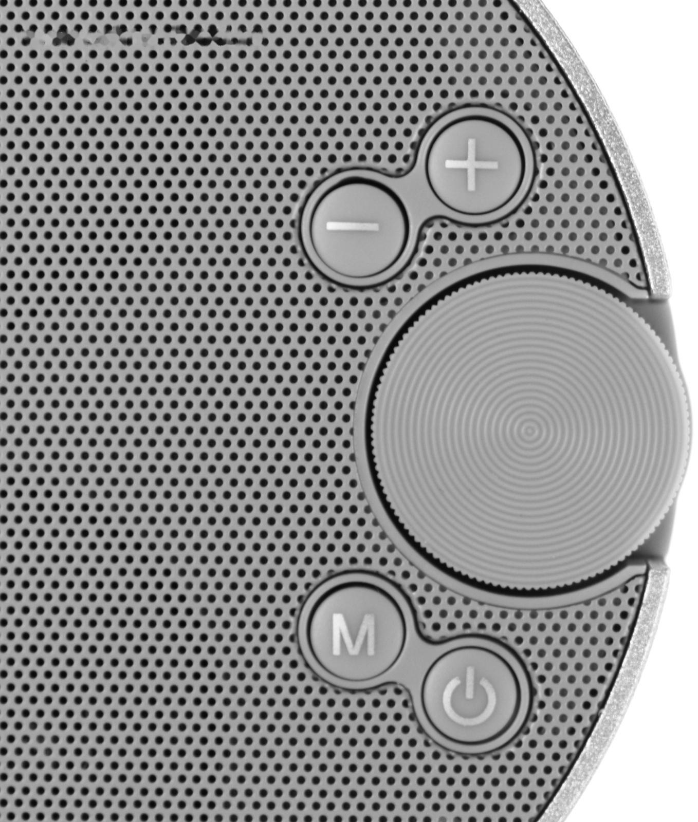 Портативная колонка Maimi F6, microUSB, FM, BT 5.1, 1200 мАч, серебристая