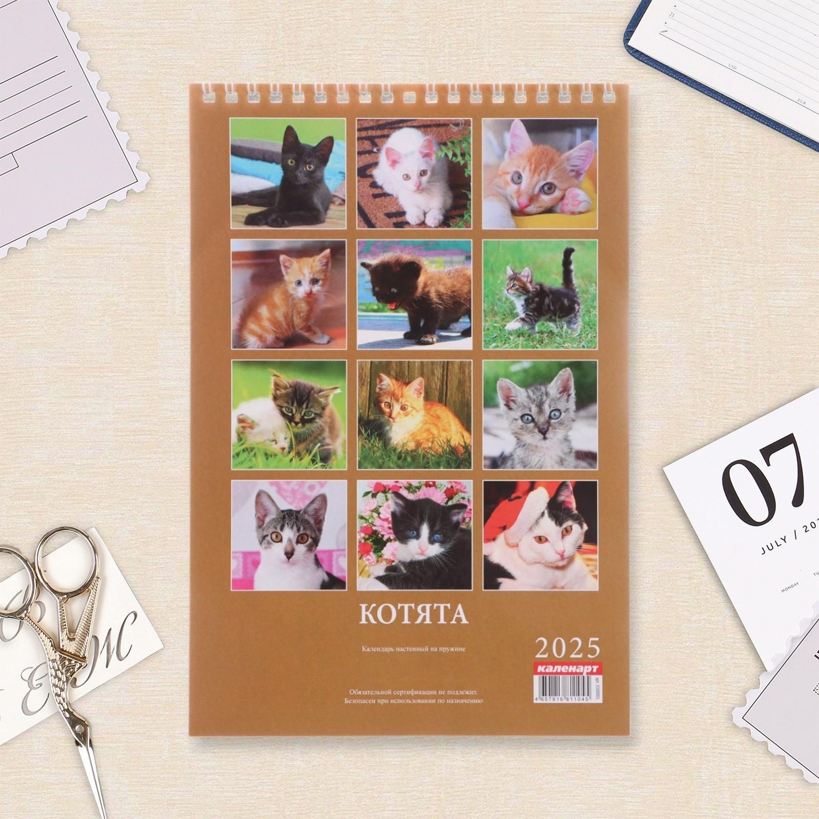 Календарь настенный 2025 год, на пружине без ригеля «Котята» 17×25 см