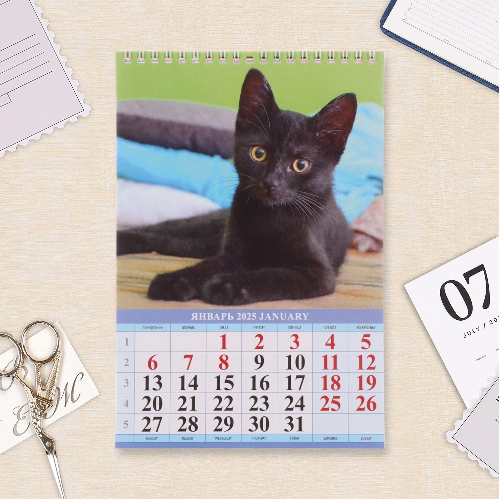 Календарь настенный 2025 год, на пружине без ригеля «Котята» 17×25 см