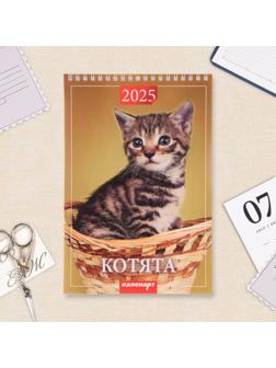 Календарь настенный 2025 год, на пружине без ригеля «Котята» 17×25 см