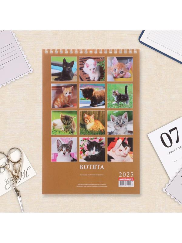 Календарь настенный 2025 год, на пружине без ригеля «Котята» 17×25 см