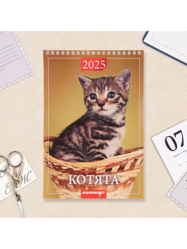 Календарь настенный 2025 год, на пружине без ригеля «Котята» 17×25 см