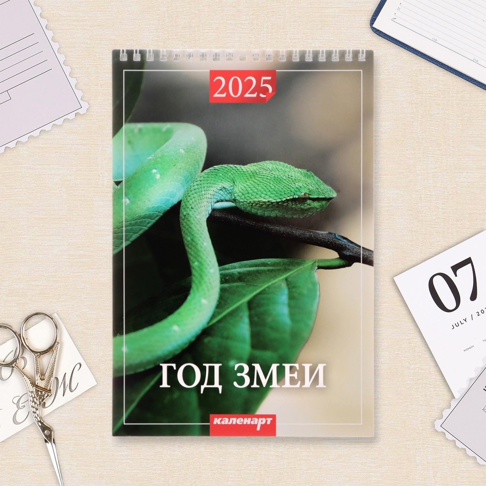 Календарь настенный 2025 год, на пружине без ригеля «Символ Года» 17×25 см